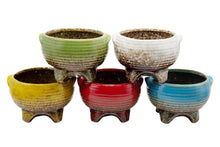 Load image into Gallery viewer, Vibrant Bowls with Feet - Hotsy Totsy Haus